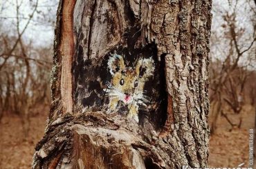 Солдатова Ольга, нарисовала на дереве, рисунки на дереве, рисует на дереве