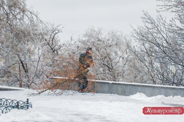 Мужчина средних лет тащил огромную новогоднюю елку из Воронцовского переулка на Приморский бульвар